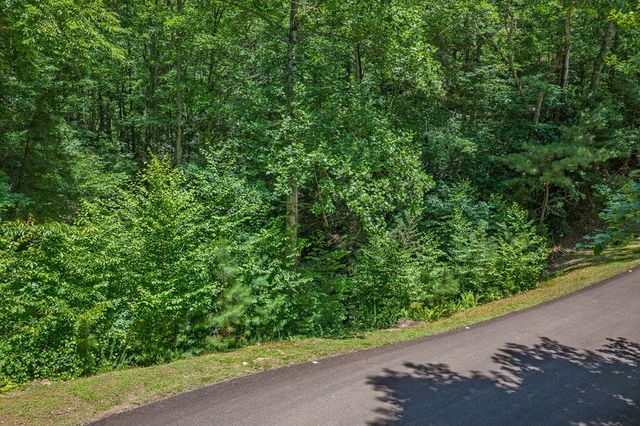 Lot 101R Mountain Creek Hollow Drive, Talking Rock, GA 30175