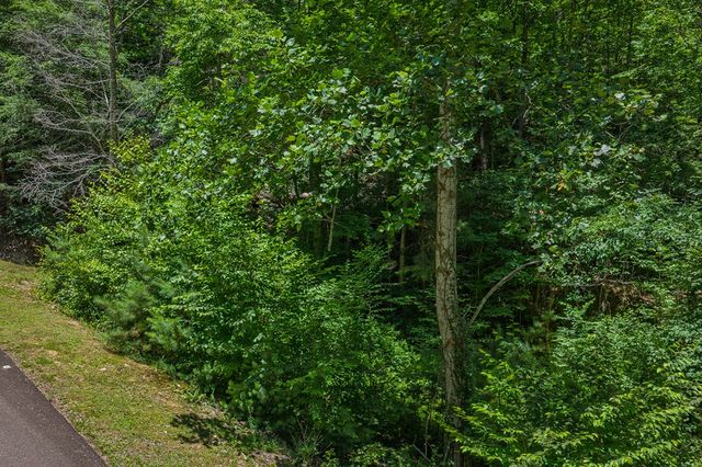Lot 101R Mountain Creek Hollow Drive, Talking Rock, GA 30175