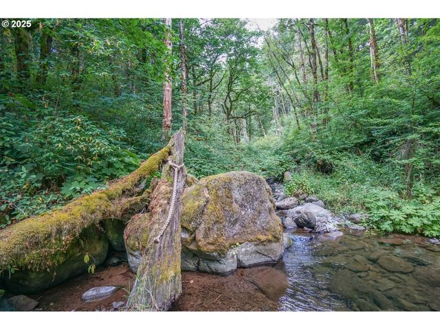 1922 DUNCAN CREEK Rd, Stevenson, WA 98648