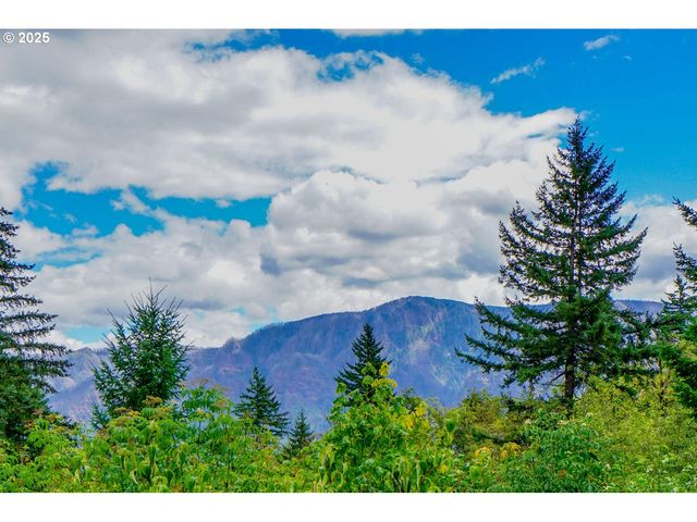 1922 DUNCAN CREEK Rd, Stevenson, WA 98648