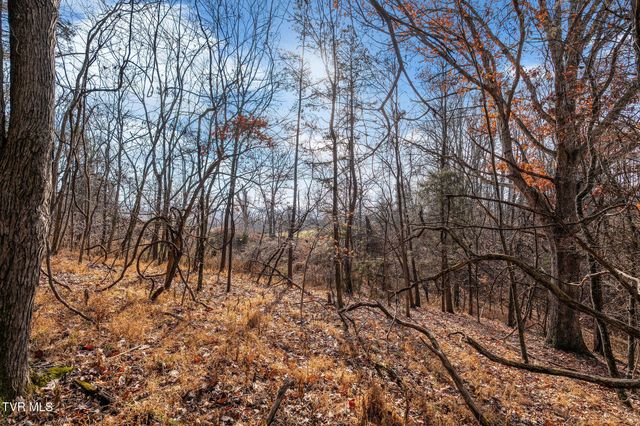 Tbd Skyline Road Lot 3, Jonesborough, TN 37659