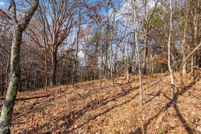 Tbd Skyline Road Lot 3, Jonesborough, TN 37659