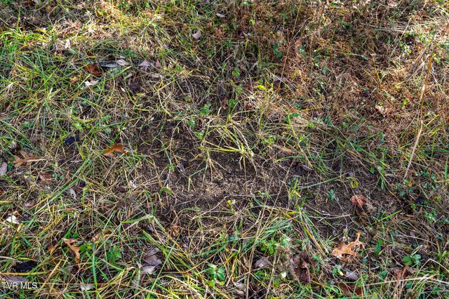 Tbd Skyline Road Lot 3, Jonesborough, TN 37659