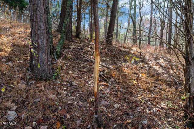 Tbd Skyline Road Lot 3, Jonesborough, TN 37659