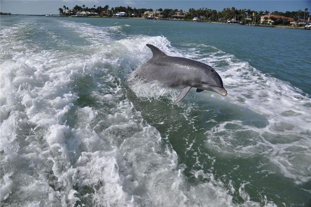 278 Newport DR 206, Naples, FL 34114