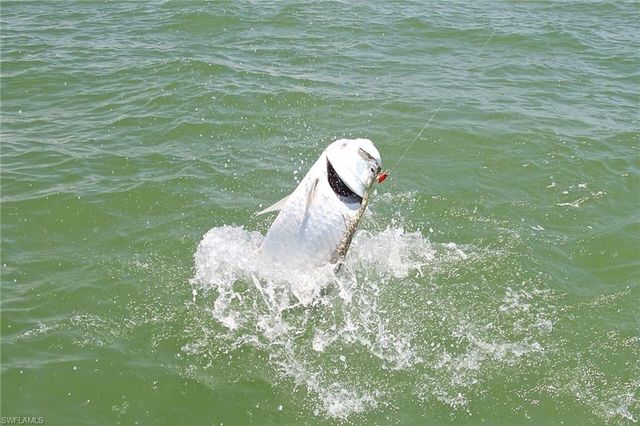 278 Newport DR 206, Naples, FL 34114