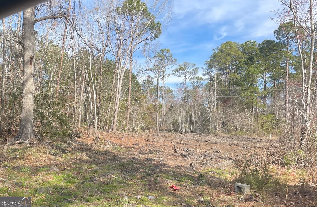 0 Highway 46, Statesboro, GA 30458