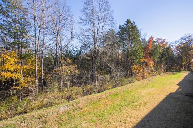 4221 Grapevine Loop, Smyrna, TN 37167