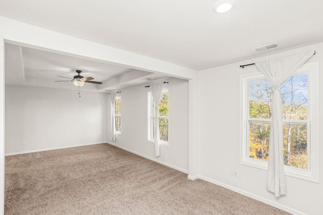 4221 Grapevine Loop, Smyrna, TN 37167