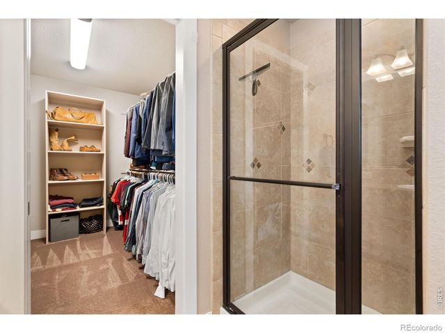 5317 School House Drive, Timnath, CO 80547