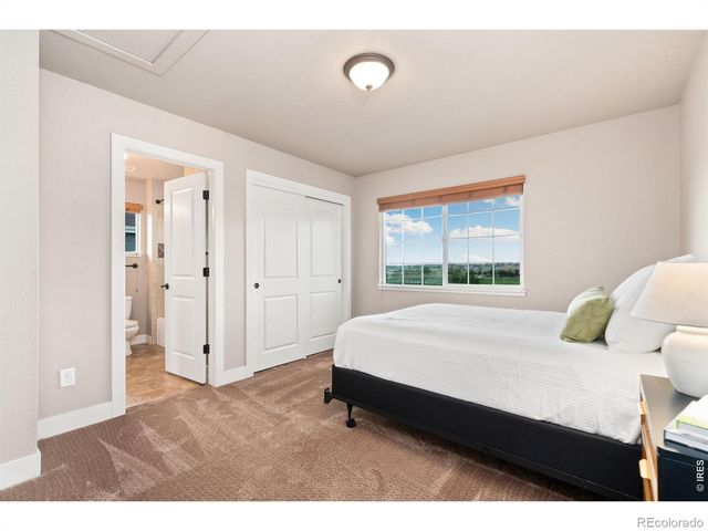 5317 School House Drive, Timnath, CO 80547