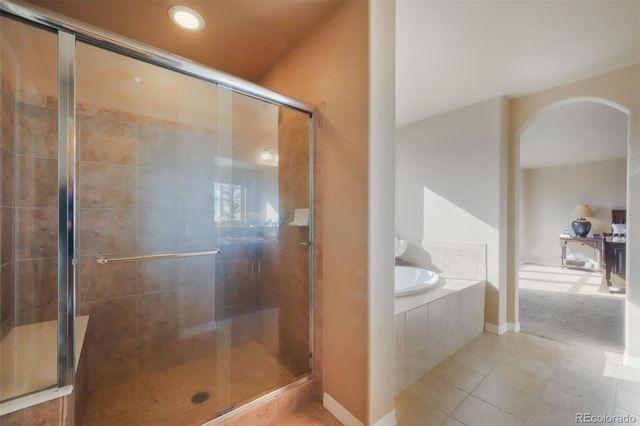 19703 Serenity Springs Point, Monument, CO 80132