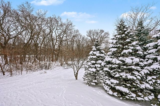 9689 Big Rock Drive, Oshtemo Twp, MI 49009