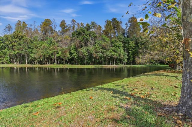 1160 LINDENWOOD DRIVE, Tarpon Springs, FL 34688