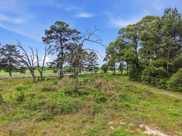 430 Ruel Road, Magnolia, TX 77355