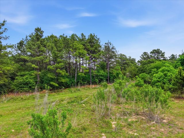 430 Ruel Road, Magnolia, TX 77355
