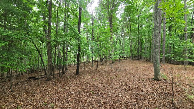 Lot 43 Loftis Mountain Way, Blairsville, GA 30512