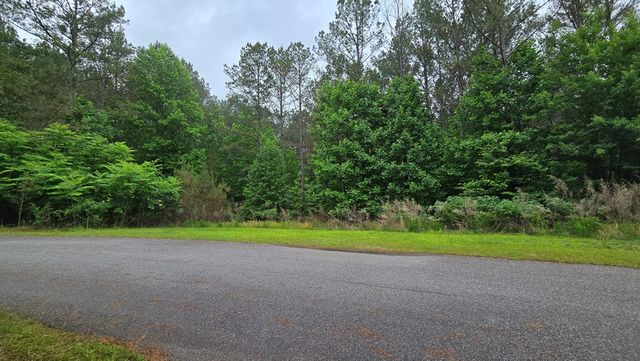 Lot 43 Loftis Mountain Way, Blairsville, GA 30512