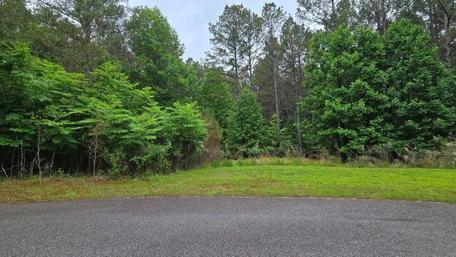 Lot 43 Loftis Mountain Way, Blairsville, GA 30512