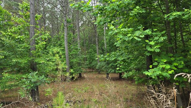 Lot 43 Loftis Mountain Way, Blairsville, GA 30512