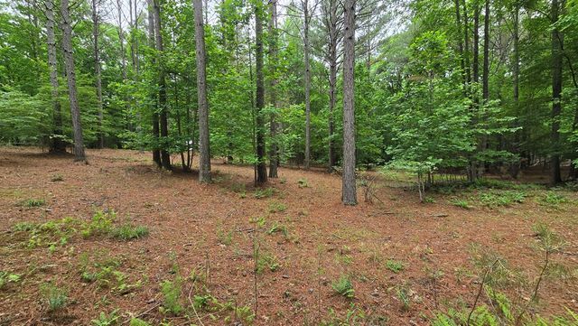 Lot 43 Loftis Mountain Way, Blairsville, GA 30512