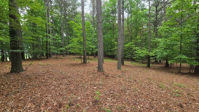 Lot 43 Loftis Mountain Way, Blairsville, GA 30512