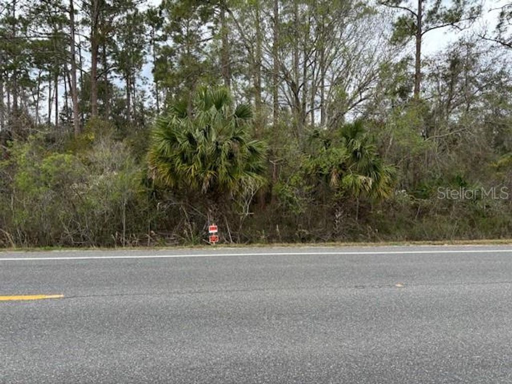 7025 TREIMAN BOULEVARD, Webster, FL 33597