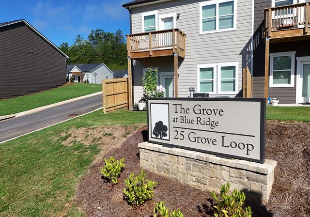 25 Grove Loop, Blue Ridge, GA 30513