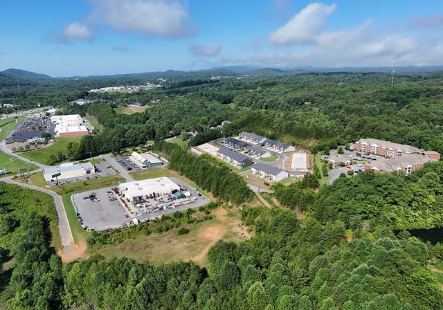 25 Grove Loop, Blue Ridge, GA 30513