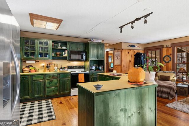 208 Bullen Gap Road, Blue Ridge, GA 30513
