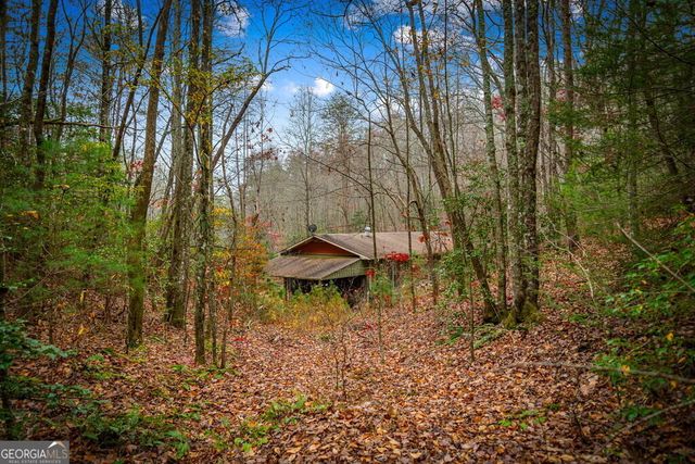 208 Bullen Gap Road, Blue Ridge, GA 30513