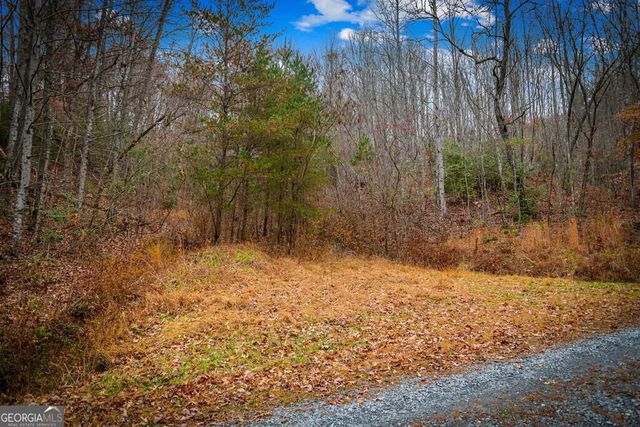 208 Bullen Gap Road, Blue Ridge, GA 30513