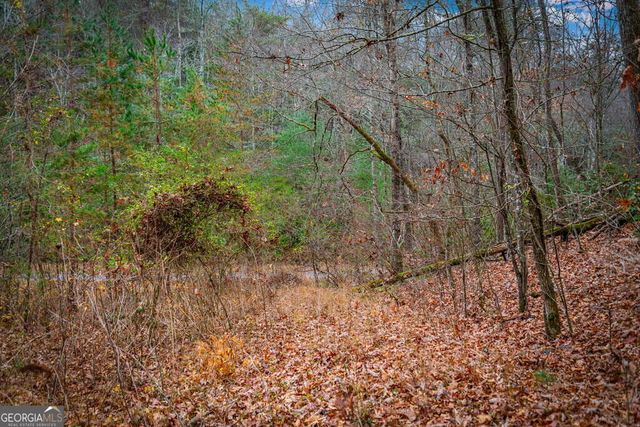 208 Bullen Gap Road, Blue Ridge, GA 30513