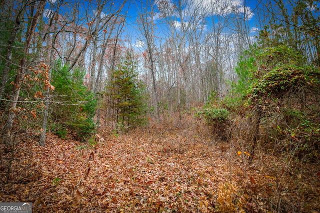208 Bullen Gap Road, Blue Ridge, GA 30513