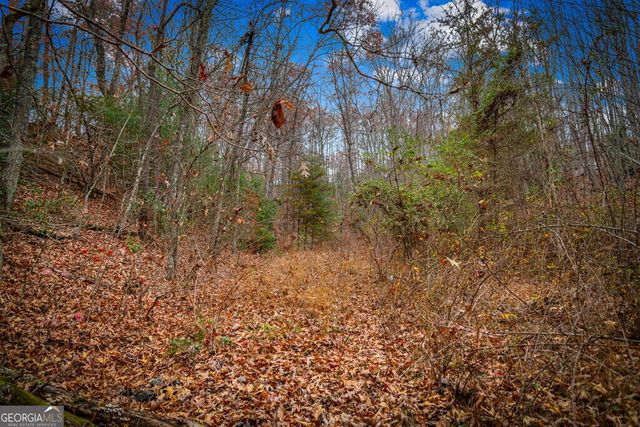 208 Bullen Gap Road, Blue Ridge, GA 30513