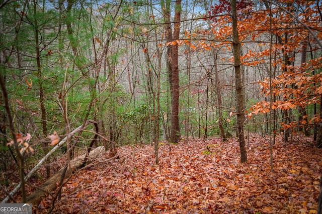 208 Bullen Gap Road, Blue Ridge, GA 30513