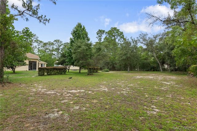 4081 W Roundup Court, Beverly Hills, FL 34465