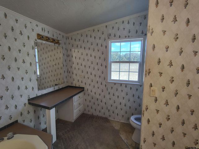 412 County Road 3820, Hawkins, TX 75765