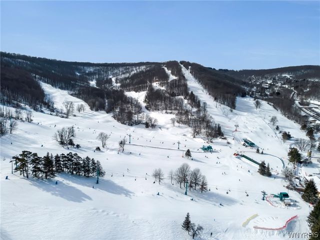 1013 Eagle Drive, Great Valley, NY 14741