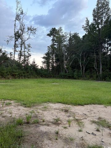 3470 Sadie Circle, Conway, SC 29527