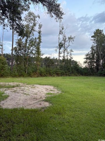 3470 Sadie Circle, Conway, SC 29527