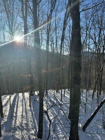 305 Junaluska Road 3 Lots, Topton, NC 28781