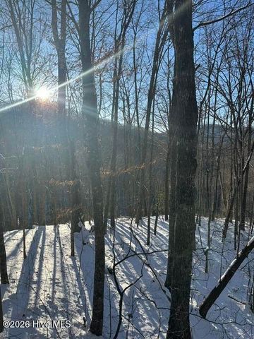 305 Junaluska Road 3 Lots, Topton, NC 28781