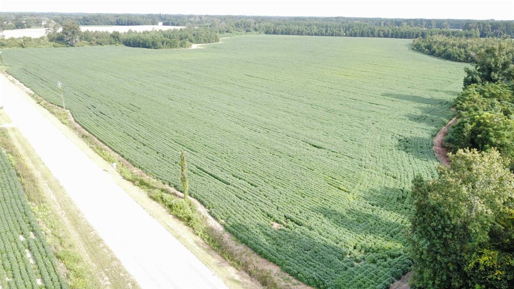 TBD Hwy 9, Green Sea, SC 29545 — exterior