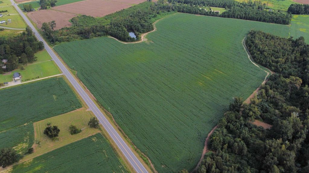 TBD Hwy 9, Green Sea, SC 29545 — photo 2