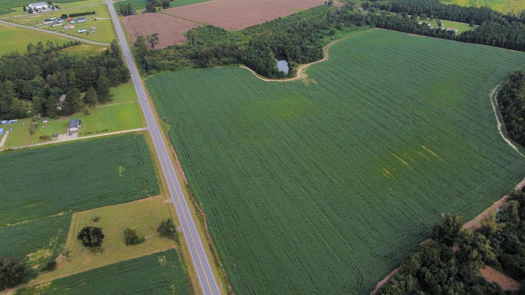 TBD Hwy 9, Green Sea, SC 29545 — photo 3