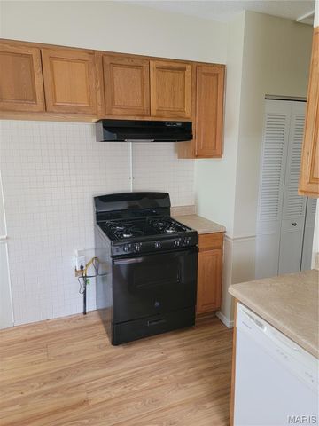 222 Randolph Avenue, Ferguson, MO 63135