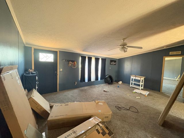 204 N Elm Street, Cambria, IL 62915