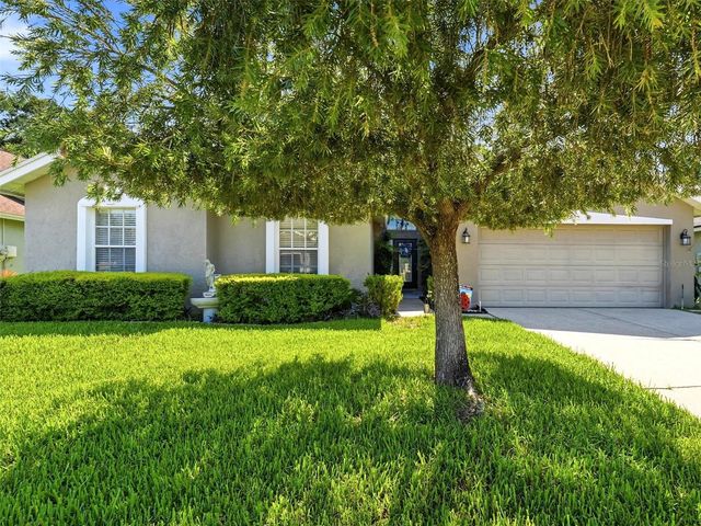 3306 FOX SQUIRREL LANE, Valrico, FL 33596