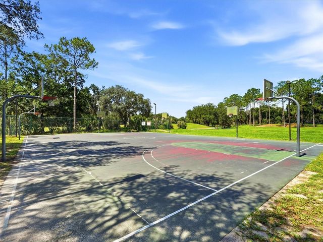 3306 FOX SQUIRREL LANE, Valrico, FL 33596
